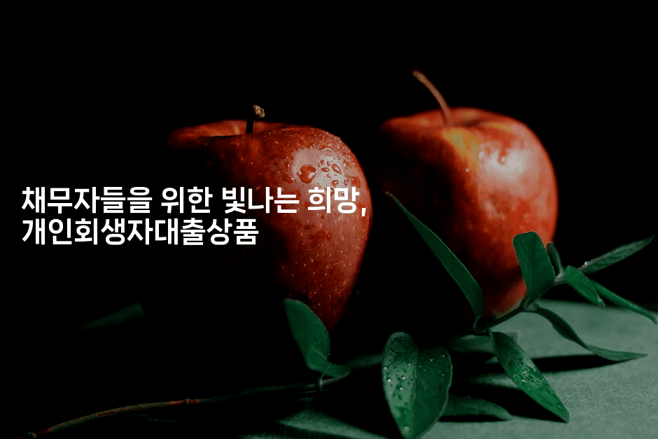 채무자들을 위한 빛나는 희망, 개인회생자대출상품