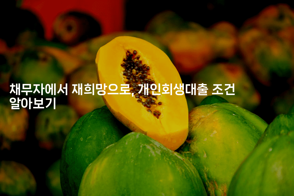 채무자에서 재희망으로, 개인회생대출 조건 알아보기-퀀트즈